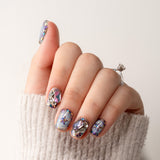 Disco Galaxy
